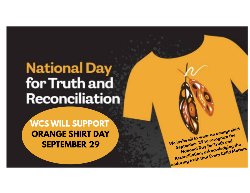Black background with orange shirt and feathers
